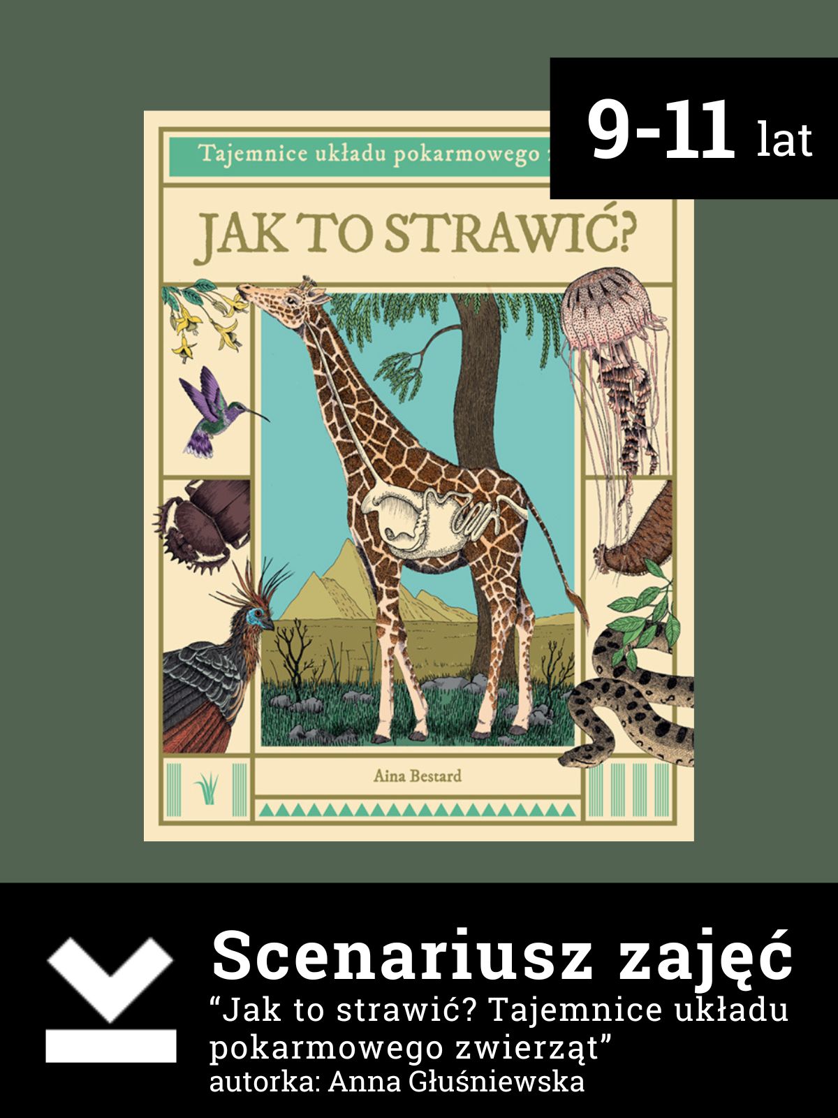 Jak to strawić - Scenariusz zajęć